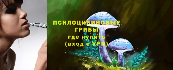 2c-b Протвино