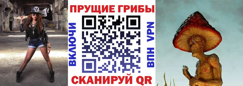 Галлюциногенные грибы прущие грибы Татарск